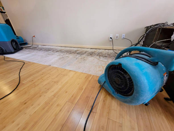 Professional Flood Damage Cleanup technician working in Staten Island, NY